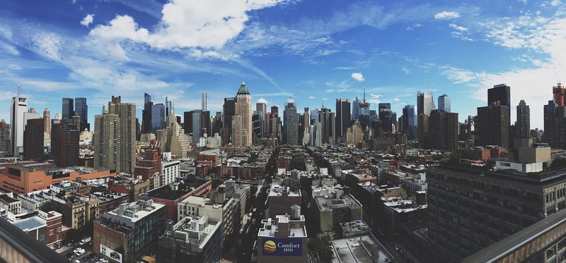 Sustainable Urban Jungles